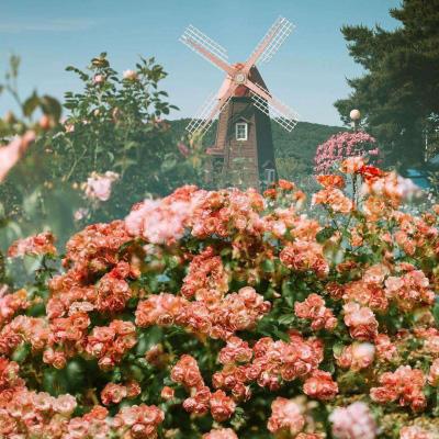 九游会演示计划