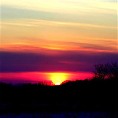 大四喜手机app下载